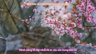 [Vietsub] Một Đoạn Duyên - 一段缘 - Vương Ái Hoa - 王爱华