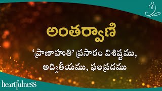 అంతర్వాణి | ‘ప్రాణాహుతి’ ప్రసారం విశిష్టము, అద్వితీయము, ఫలప్రదము | Heartfulness Telugu | 15-02-2024