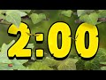 Bugs in the Garden: 2 Minute Countdown Timer