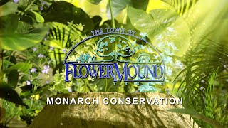 Monarch Conservation