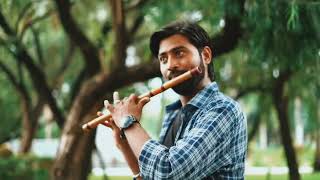 Tumse milna|flute cover song| Tere Naam | @himeshreshammiyamusicandme450 @BeingSalmanKhan @bhumichawla5614