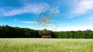 【Good morning 】The best relaxing music in the morning -  background music for homework and study.