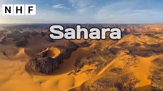 सहारा मरुस्थल (Sahara Desert | World Geography | NHF Channel