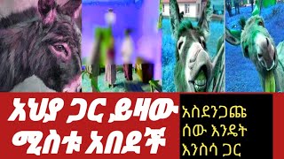 አህያ ጋር ይዛው ሚስቱ አበደች/አስደንጋጩ ሰው እንዴት እንስሳ ጋር /ቅሌታም ሺማግሌ@habmedia1257