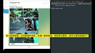 运营猫私秘频道ID获取教程｜Telegram｜搬运｜定时搬运｜软件｜协议｜copy