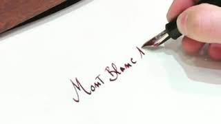 Montblanc 149 Bespoke Signature nib