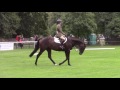 rich mistique k burghley young event horse final 5yo 2016