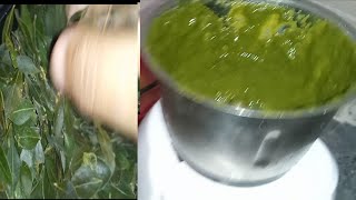 চুলের যত্নে মেহেদি পাতা বাটা ও সংরক্ষণ //Mehedi leaf paste \u0026 preservation in hair care