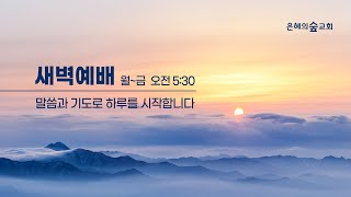 [은혜의숲교회] 새벽예배 | 2025.2.4 화요일