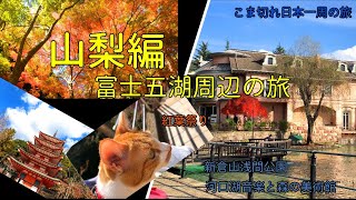 【山梨県車旅】富士山と紅葉🍁河口湖音楽と森の美術館、タイタニックに搭載されるはずだった幻の自動演奏楽器、紅葉祭り/旅行/観光//紅葉