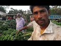 banana big market place in bangladesh joypurhat zilla কলার সবচেয়ে বড়ো হাট জয়পুরহাট জেলা‼️