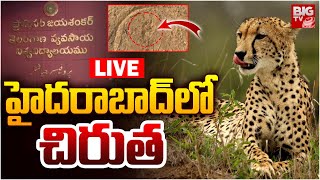 హైదరాబాద్ లో చిరుత LIVE | Leopard Spotted In Rajendra Nagar | Hyderabad | BIG TV