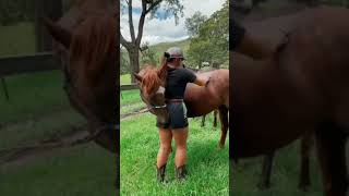 #horse #girl #sex