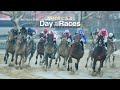 America's Day at the Races - November 7, 2024