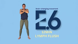 E6- LYMPHATIC FLUSH