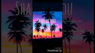 Shape of you Sped u p