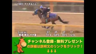 スプリングステークス（GII） マイネルハニー調教動画　「競馬レース結果ハイライト」2016年