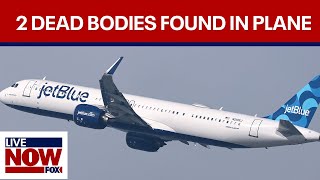 BREAKING: 2 bodies found in landing gear of JetBlue plane | LiveNOW from FOX