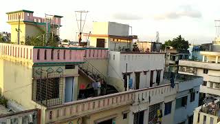 Natural।। প্রকৃতি আসলেই অনেক চমৎকার। Mirpur- Dhaka2023 #mirpur #shortvideo #natural