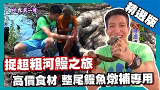 【泰國】陷阱捉超粗河鰻 燉「煮鬼」補氣聖品｜《世界第一等》717集精華版