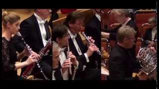 R. Strauss, 2nd Horn Concerto, Paul van Zelm