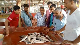 নিলামে মেঘনা নদীর তাজা ইলিশ বিক্রি ছোট বড় সাইজের ইলিশের দাম। ilish fish market price today in BD