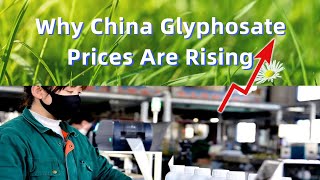 Why China Glyphosate Prices Are Rising | glyphosate herbicide