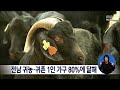 전남 귀농·귀촌 1인 가구 80%에 달해 목포mbc 뉴스데스크