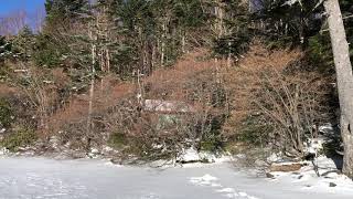 白駒池(青苔荘〜白駒山荘)