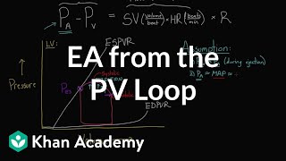 Getting Ea (arterial elastance) from the PV loop | NCLEX-RN | Khan Academy