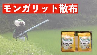 2020-07-24【モンガリット散布】今日は、除菌剤のモンガリットを撒きました。