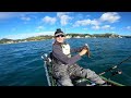 inshore kayak fishing nz snapper catch n cook