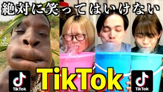 絶対に笑ってはいけないTikTokで今回もとんでもない逸材発掘したwwwwww