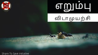 எறும்பு விடாமுயற்சி - Bible Insider Tamil S01E21