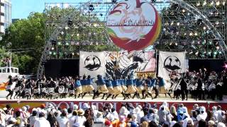 岐阜聖徳学園大学　柳　（どまつり2010本祭1日目）