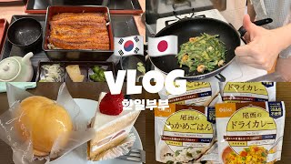 VLOG #140 한일부부ㅣ장어덮밥ㅣ부추전 만들기 어렵다ㅣ비상식량 모우기ㅣ소소한일상브이로그ㅣ日韓夫婦ㅣ土用の丑の日ㅣニラチヂミって難しいㅣささやかな日常vlog