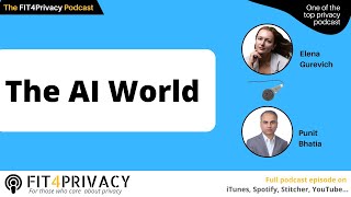 The AI World with Elena Gurevich and Punit Bhatia in The FIT4Privacy Podcast E118 S5