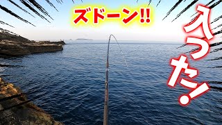 ひとりで石鯛釣りに行ってみたら…