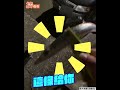 男釣魚驚遇大眼萌貓討飯 連堵3次秒上繳「保護費」｜tvbs新聞｜擠看看 shorts