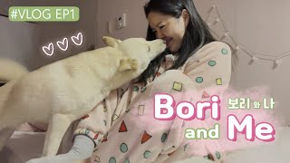 VLOG l Day of Me \u0026 My Dog(Cute and Fun) 보리와 나의 천방지축 브이로그