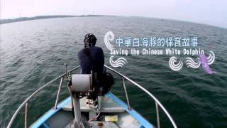 【中華白海豚的保育故事】 Saving the Chinese White Dolphin  預告片