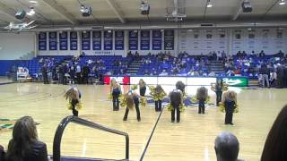 UNG Dance Team- Senior Night game 3/1/14