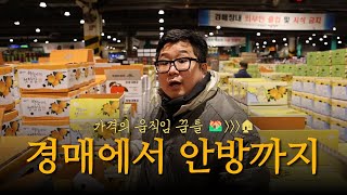 경매에서 안방까지(가격의 움직임)