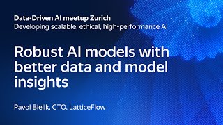 Robust AI models with better data and model insights