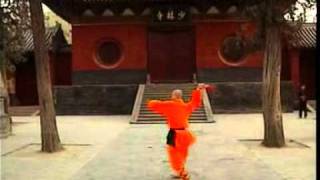 20. 少林武术 - 少林牧羊鞭 Shao Lin Martial Art 20