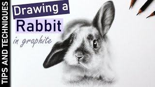 How to draw a rabbit in graphite | A perfect beginner tutorial