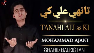 TANHAI ALI KI | MOHAMMAD AJANI 2023 | SHAHID BALKISTANI | تانهي علي كي | SHADAT E BIBI FATEMA sa
