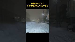 【雪道走行動画】プチ吹雪の生活道路