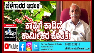 ಕಾರ್ಮಿಕರ ಕೊರತೆಯಿಂದ ಕಾಫಿ ಬೆಳೆಗಾರ ಕಂಗಾಲು! Coffee grower   distressed by   lack of workers!