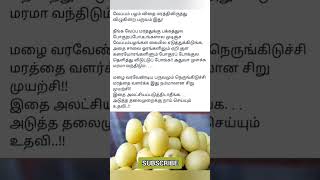 இது அடுத்த தலைமுறைக்கு செய்யும் பெரிய உதவி மரம் நட்டு மழை பெறுவோம் #treeplant  #விதை #விதைப்போம்